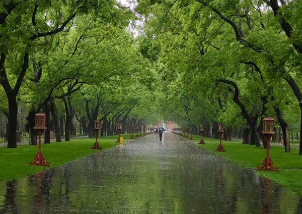 亚金配资 北京这场春雨，持续28小时后结束！双休日晴天回归